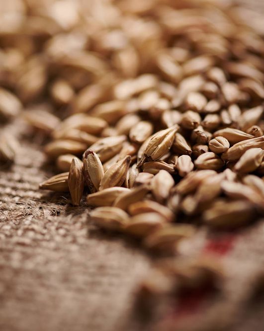 Hovedbilde Melanoidin malt (60-80 EBC) - Weyermann