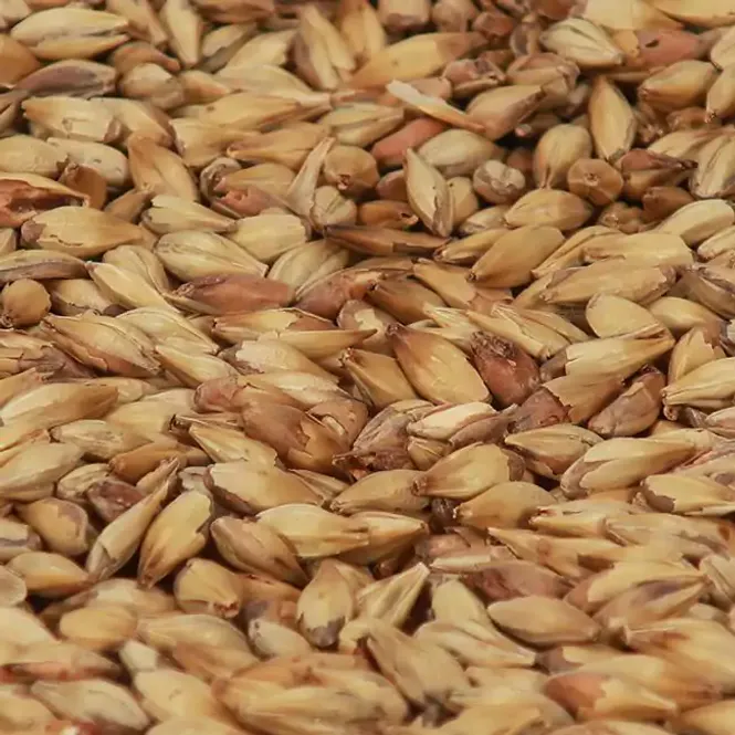 Hovedbilde Cara Ruby Malt  (50 EBC) - Castle Malting