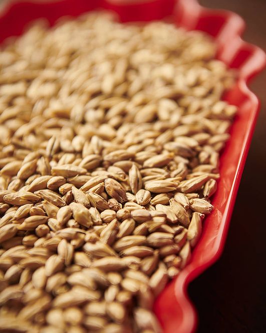 Hovedbilde Vienna malt (6-9 EBC) - Weyermann