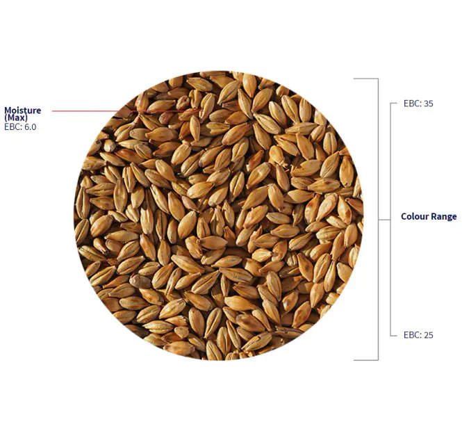 Hovedbilde Cara malt ( 25-35 EBC) - Crisp Malting