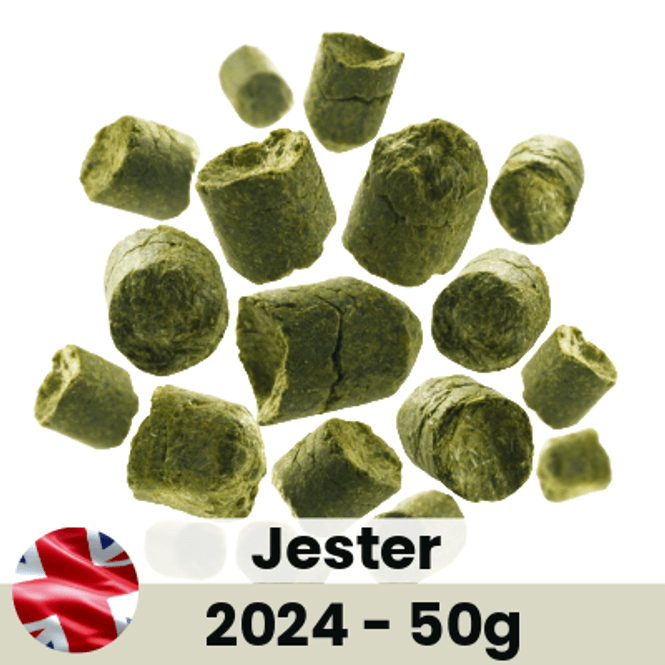 Hovedbilde Jester 2024, 50g
