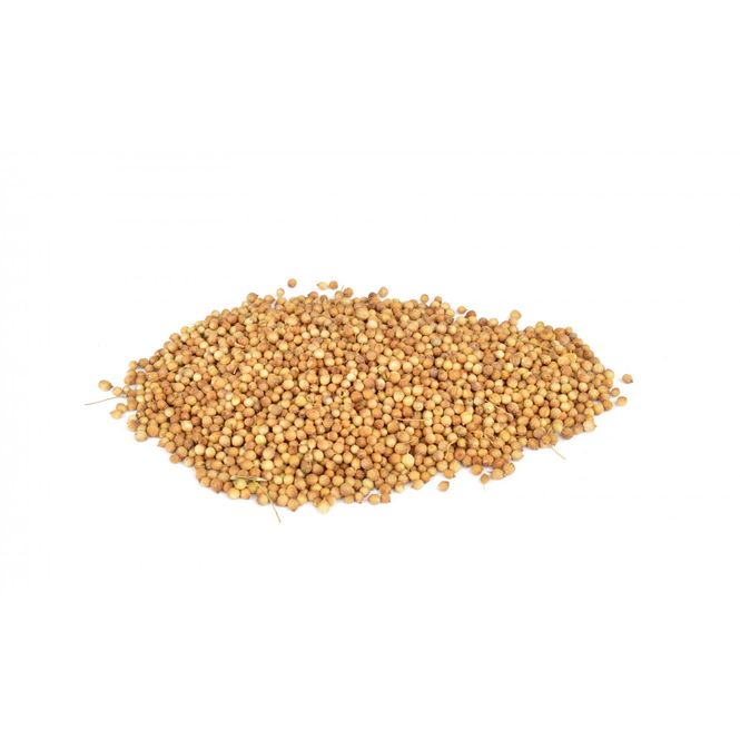 Hovedbilde Korianderfrø 100g